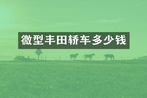 微型丰田轿车多少钱
