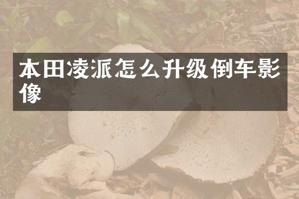 本田凌派怎么升级倒车影像