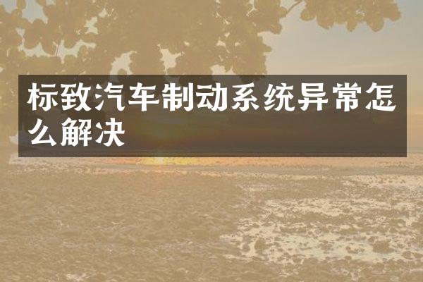 标致汽车制动系统异常怎么解决