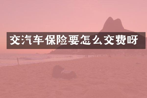 交汽车保险要怎么交费呀