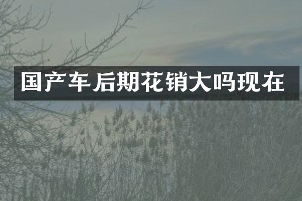国产车后期花销大吗现在