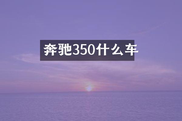 奔驰350什么车