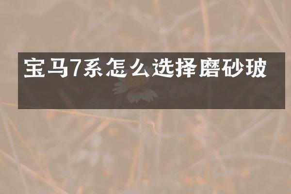 宝马7系怎么选择磨砂玻璃