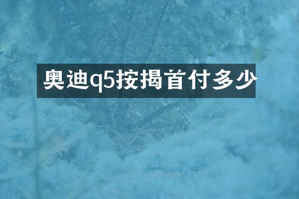 奥迪q5按揭首付多少