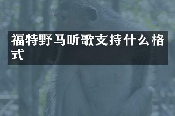 福特野马听歌支持什么格式