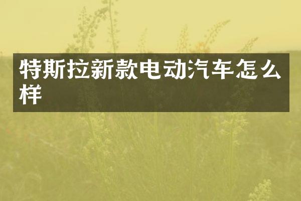 特斯拉新款电动汽车怎么样