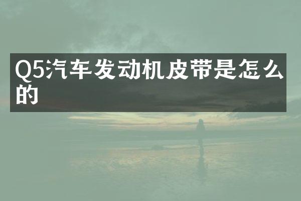 Q5汽车发动机皮带是怎么绕的