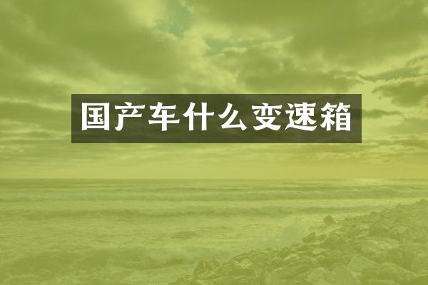 国产车什么变速箱