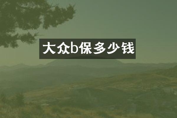 大众b保多少钱