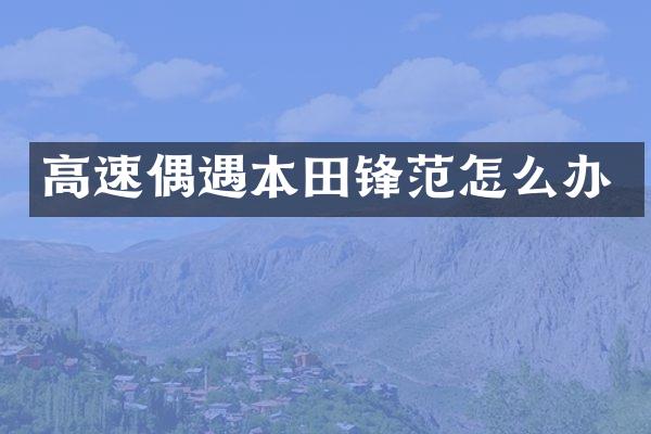 高速偶遇本田锋范怎么办