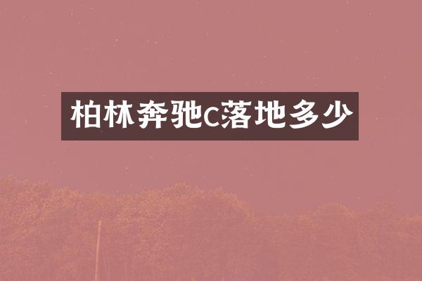 柏林奔驰c落地多少