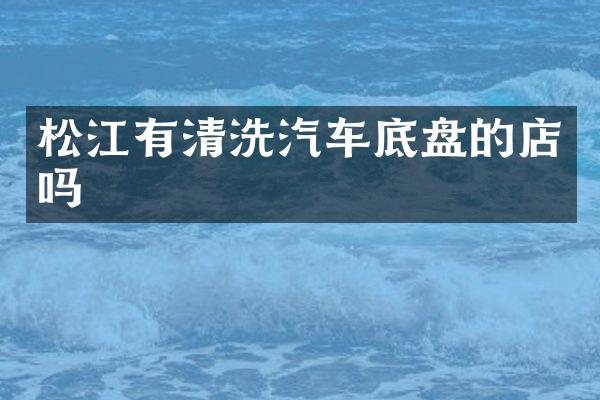 松江有清洗汽车底盘的店吗