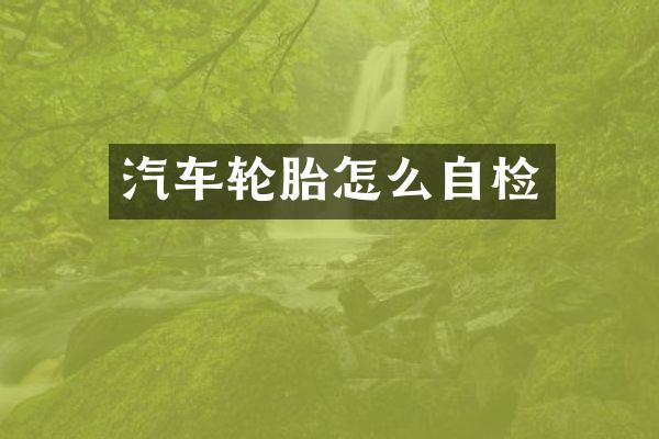 汽车轮胎怎么自检