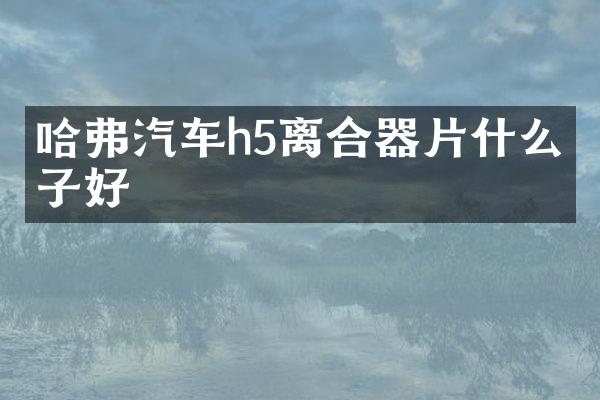 哈弗汽车h5离合器片什么牌子好