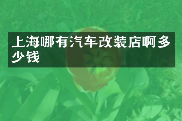 上海哪有汽车改装店啊多少钱