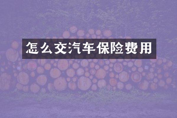 怎么交汽车保险费用