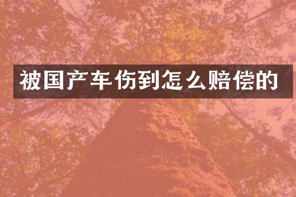 被国产车伤到怎么赔偿的