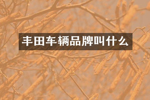 丰田车辆品牌叫什么