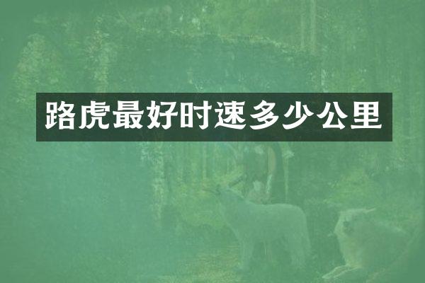 路虎最好时速多少公里
