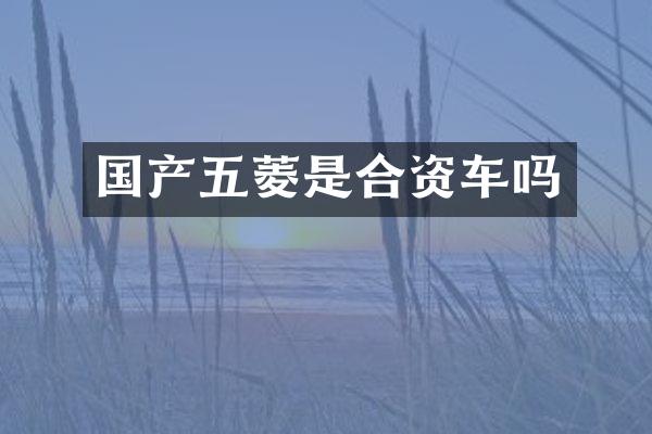 国产五菱是合资车吗