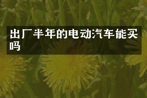 出厂半年的电动汽车能买吗