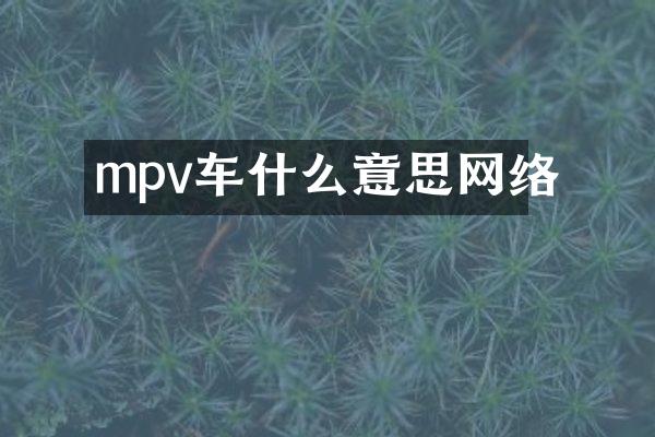 mpv车什么意思网络