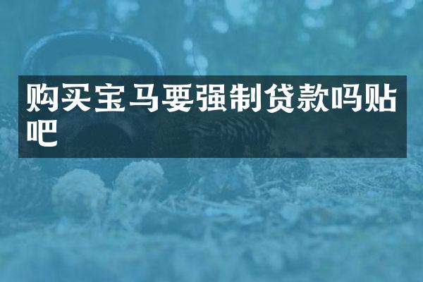 购买宝马要强制贷款吗贴吧