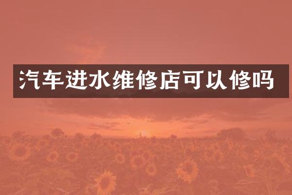汽车进水维修店可以修吗