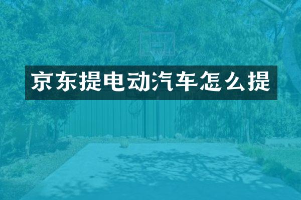 京东提电动汽车怎么提