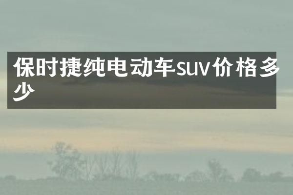保时捷纯电动车suv价格多少