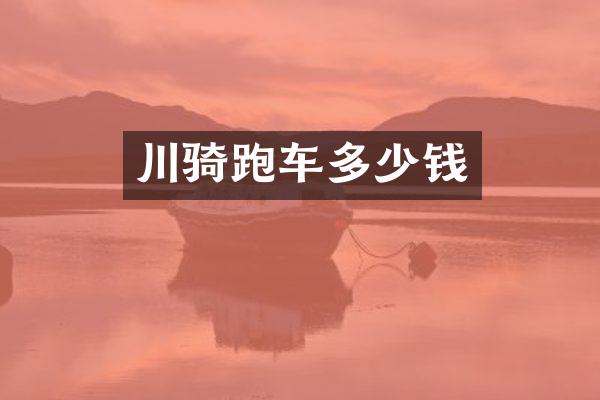 川骑跑车多少钱