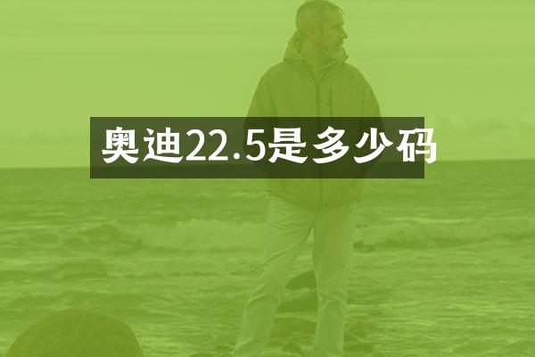 奥迪22.5是多少码