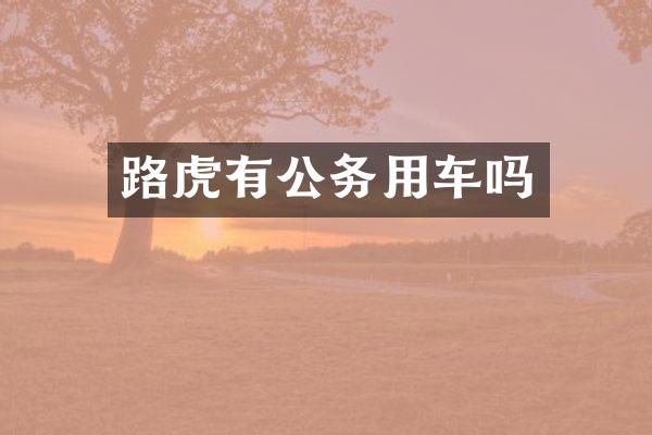 路虎有公务用车吗
