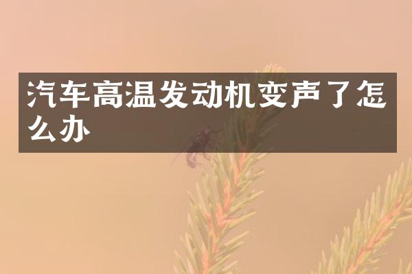 汽车高温发动机变声了怎么办