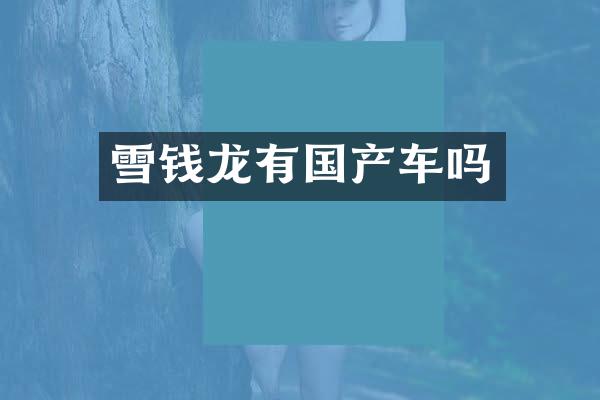 雪钱龙有国产车吗