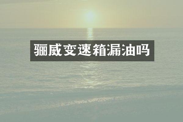 骊威变速箱漏油吗