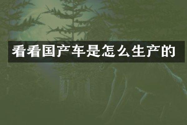 看看国产车是怎么生产的