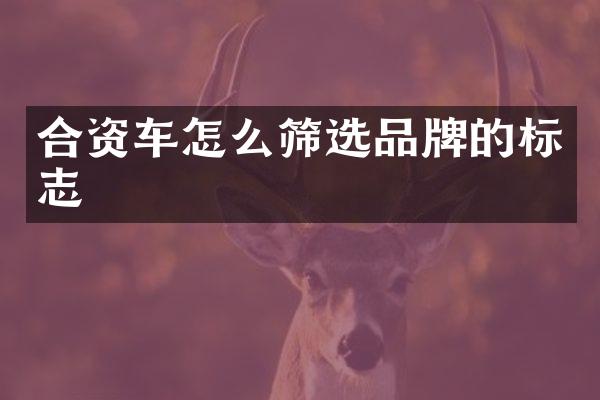 合资车怎么筛选品牌的标志