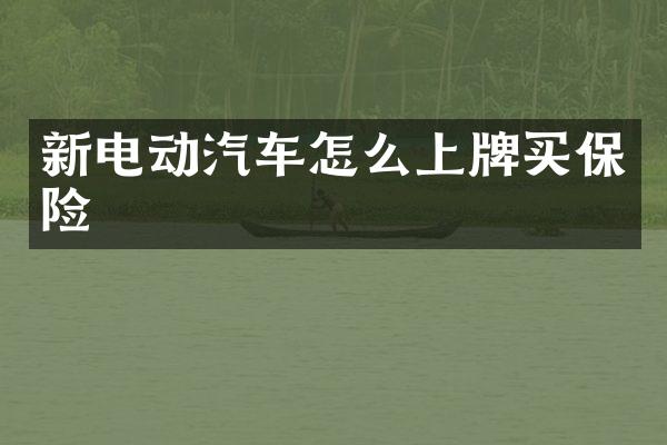 新电动汽车怎么上牌买保险