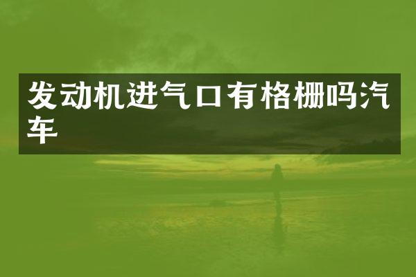 发动机进气口有格栅吗汽车