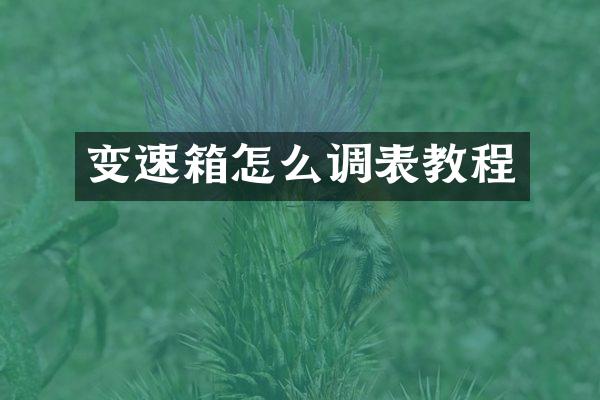 变速箱怎么调表教程