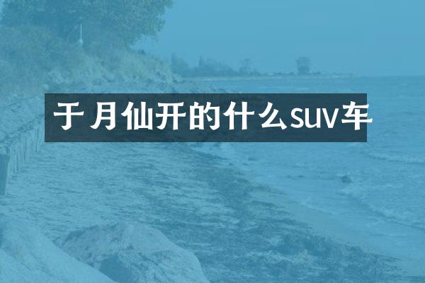 于月仙开的什么suv车