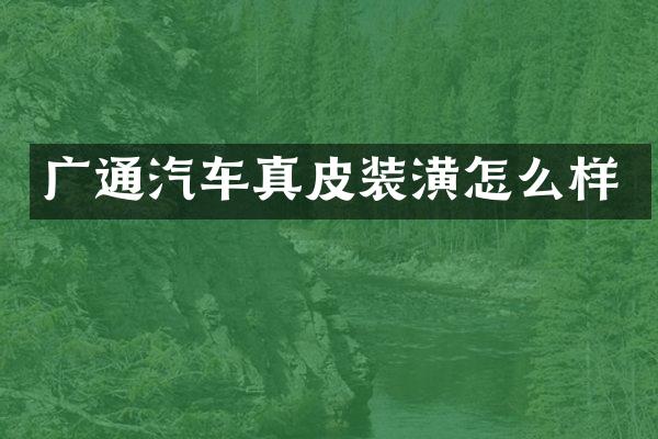 广通汽车真皮装潢怎么样