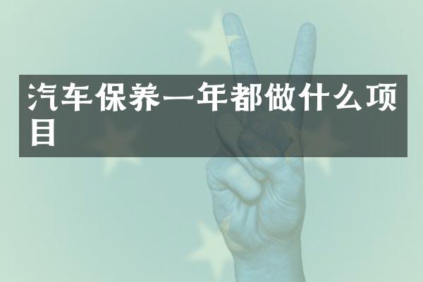 汽车保养一年都做什么项目