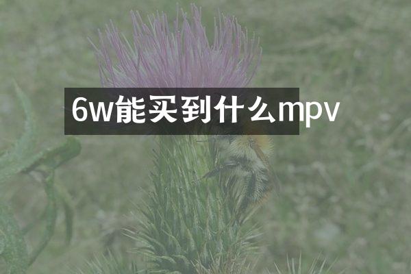 6w能买到什么mpv