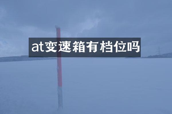 at变速箱有档位吗