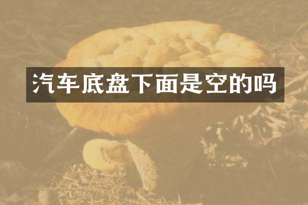 汽车底盘下面是空的吗