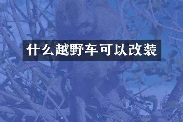什么越野车可以改装