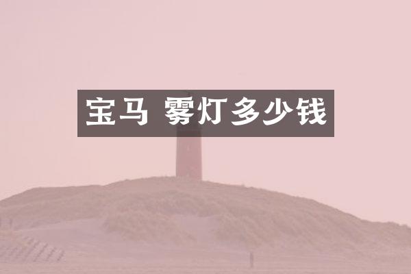宝马 雾灯多少钱
