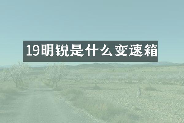 19明锐是什么变速箱